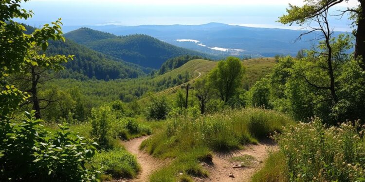 Turystyka piesza nizinna – jak planować wędrówki? Turystyka turystyka piesza nizinna